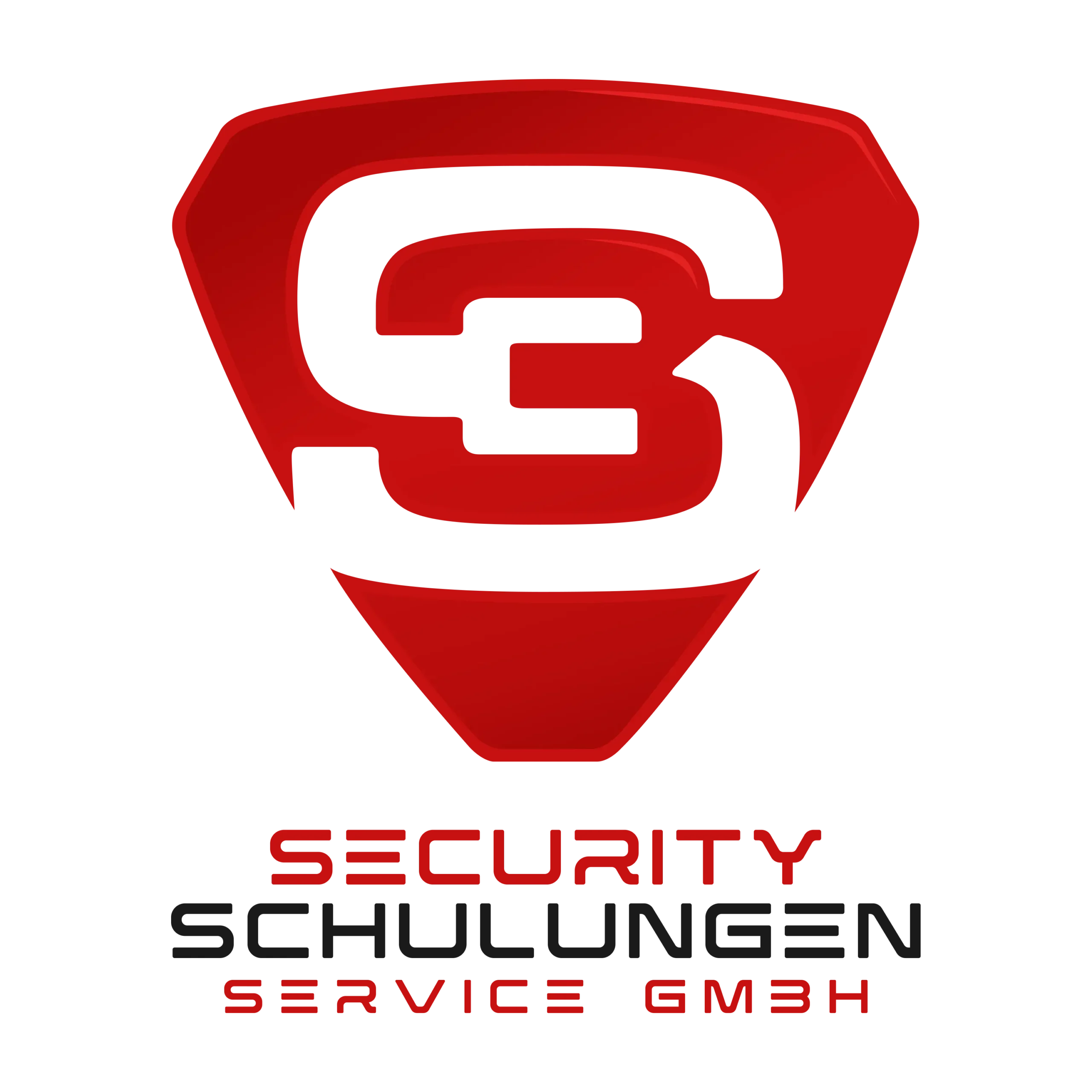 3S Schulungen & Services 3S